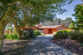 Mendocino Dream